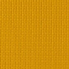 revyva-atlantic-6032-brain_coral-t
