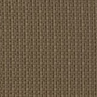 revyva-atlantic-6075-sea_lion-t