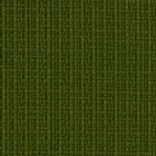 revyva-atlantic-6086-caiman-t