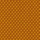 revyva-pacific-6041-grouper-t