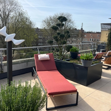 Sunlounger