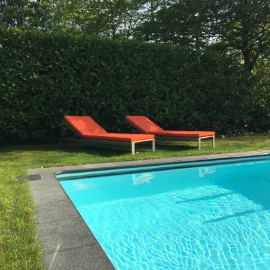 Sunlounger