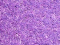 Sittingimage Lawn 3 (150x200cm) Carpet purple - afb. 2