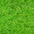 Sittingimage Lawn 4 (200x200cm) Carpet green