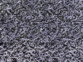 Sittingimage Lawn 4 (200x200cm) Carpet dark-grey - afb. 2