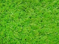 Sittingimage Lawn 4 (200x200cm) Carpet green - afb. 2