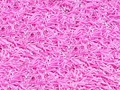 Sittingimage Lawn 4 (200x200cm) Carpet pink - afb. 2
